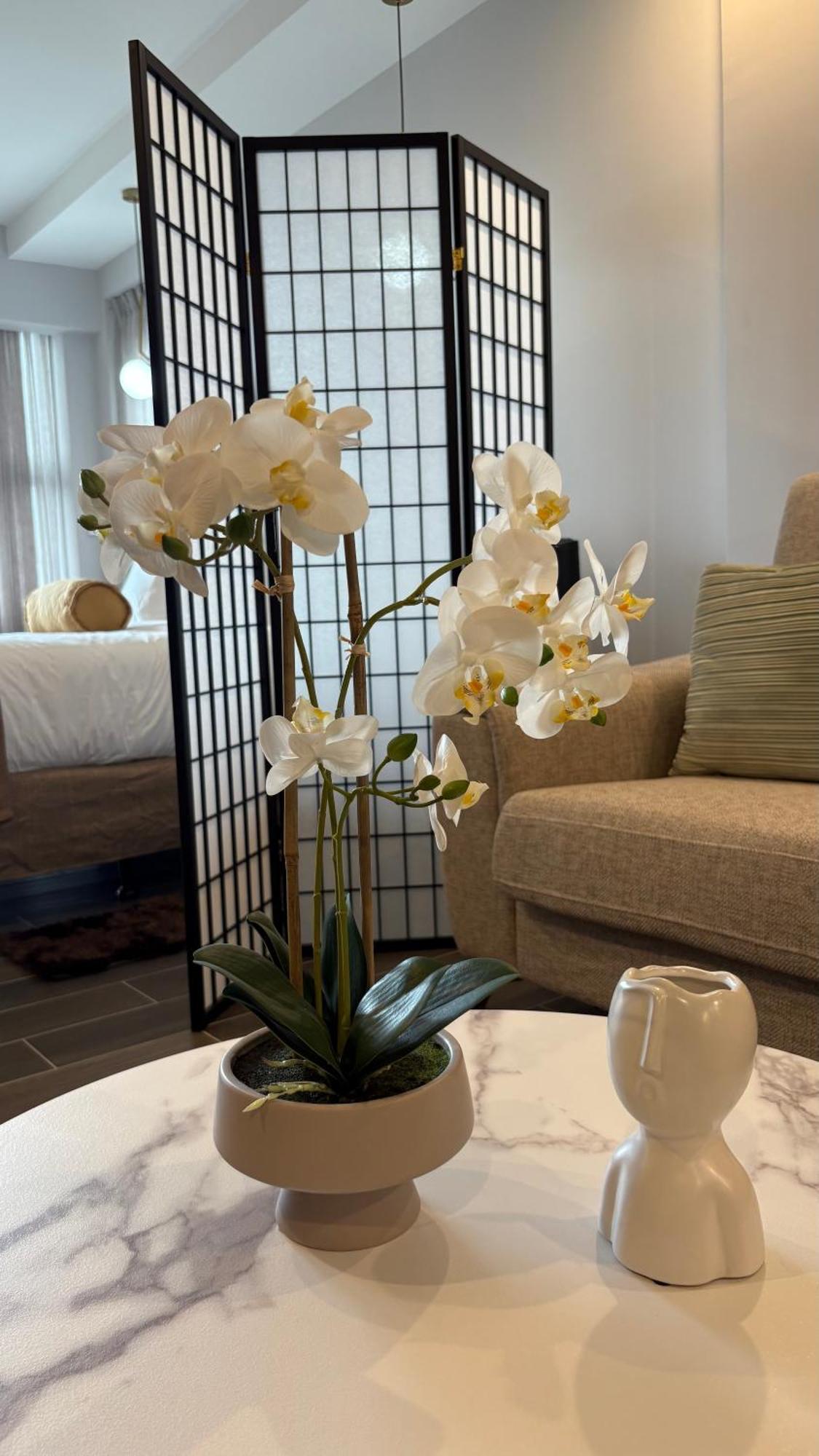 Apartment Cozy 10 Min To Airport Be Cariari #402 La Asuncion (Heredia)